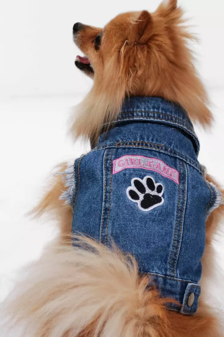 Girl gang clearance jean jacket